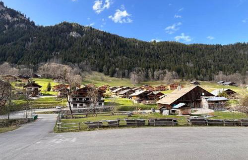 Studio Châtel Secteur Linga Proche Pistes - Foto 2