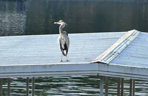 5 Bedroom on Lake of the Ozarks - Foto 27