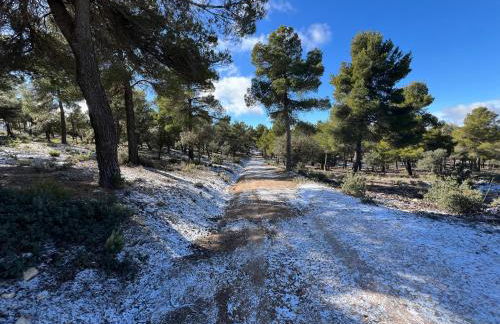 Vakantiehuis Casa de Musica - Foto 45