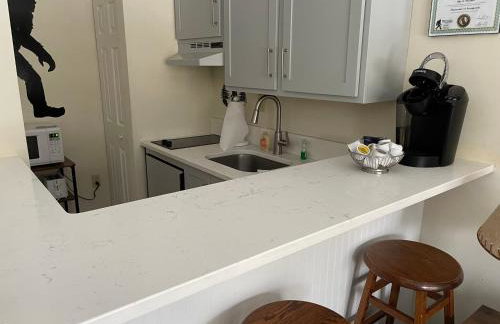 Ski On Off 1BR Suite 1st Flr Sleeps 4 Jiminy Peak - Foto 8