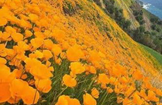 Harbor House in Morro Bay - Foto 11