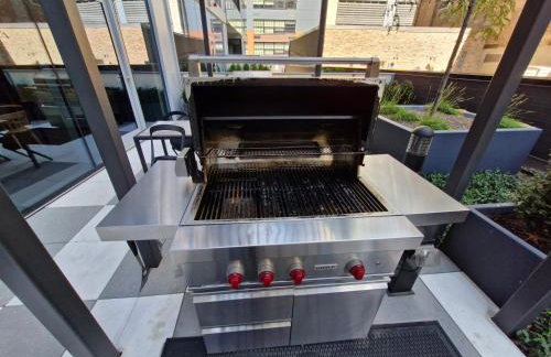 Premier Penthouses and Apartment with Captivating Views of Millennium Park - Photo 75