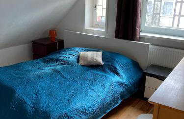 Elbblick Schnackenburg - Foto 8