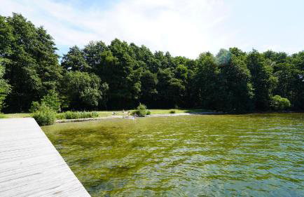 Ferienwohnungen am Krakower See - Foto 40