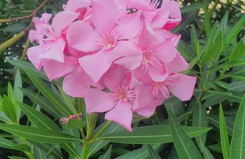 Casa do Monte - Photo 54