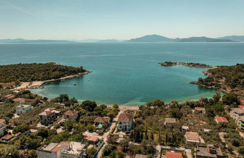 Alexander's - Foto 17