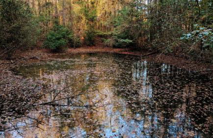 Sweet Salem Hideaway - Foto 33