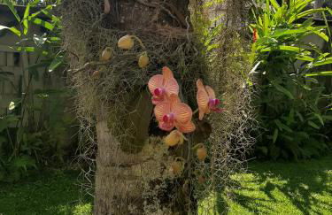 Casa Pomar do Aconchego - Foto 7