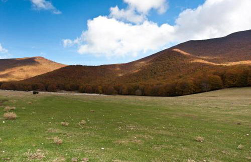 Dimora del Capriolo - Foto 18