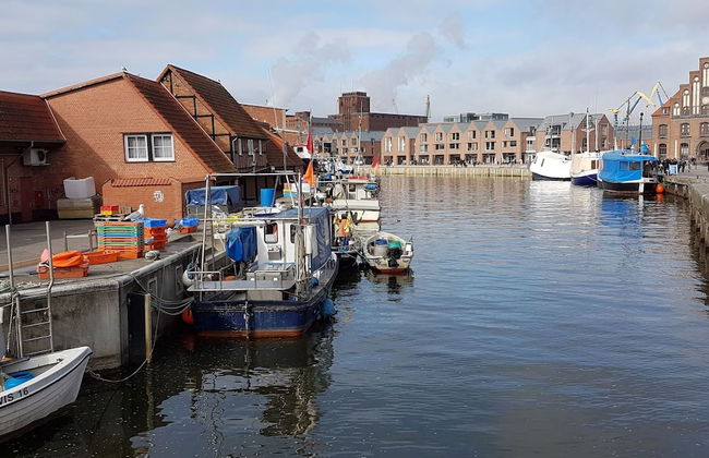Ferienwohnung auf Insel Poel - Foto 17
