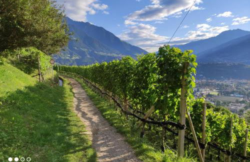 Ruhige Ferienwohnung mit Garten und Garage in Privatvilla - Foto 39