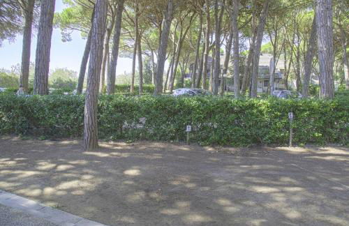 Apartment in pine forest near the beach - Foto 28