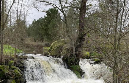 Casa dos Moinhos de Aveia - Foto 9