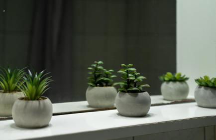 The Olive House - Foto 27