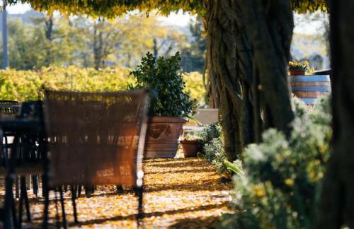 Dimora Buglioni Wine Relais - Foto 34