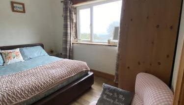 Unique Stay on an Alpaca Therapy Farm with Miniature Donkeys North Wales - Foto 5