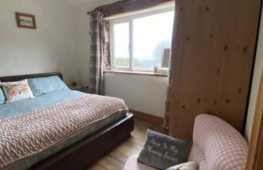 Unique Stay on an Alpaca Therapy Farm with Miniature Donkeys North Wales - Foto 5