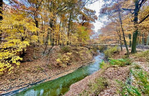 Log Cabin - Natures Oasis - Fire Pit & Gazebo - Foto 30