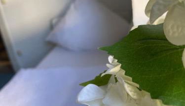 Schicke Monteurunterkunft in Mendig mit drei Wohneinheiten - Foto 5