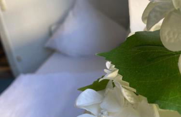 Schicke Monteurunterkunft in Mendig mit drei Wohneinheiten - Foto 5