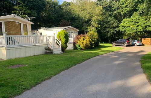 Forest lodge - Foto 53