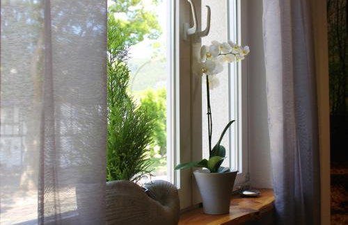 Ferienwohnung Niggemann - Photo 7