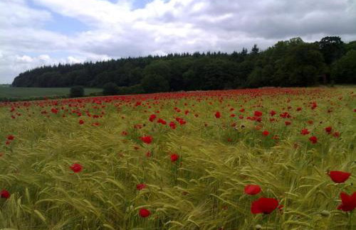 Upper Bray Cottage Badby, Daventry - Foto 18