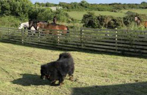 Chalet Sleeps 4 Near Cymyran Beach - Foto 6