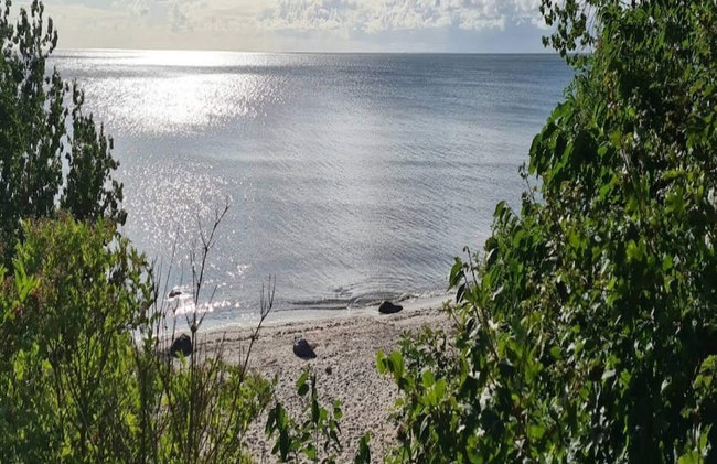 4 Star Holiday Home in Vaeggerlose - Photo 35
