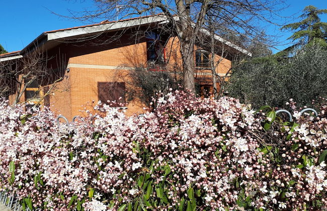 Family Friendly Villa Giulia With Pool - Foto 14