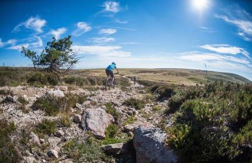 Gite Le Chalet SaintAnthème / Prabouré - Foto 52