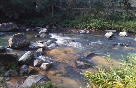 Rancho Maria Flor - Photo 1