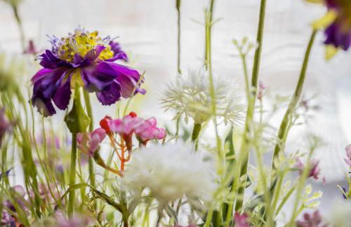 Admiral Stuuv - Photo 29