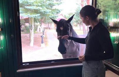 Gajówka Pilica 45A - Foto 2