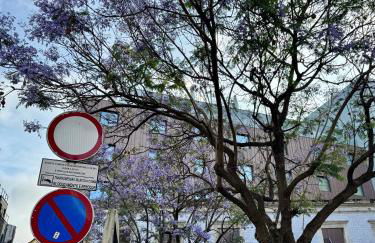 Lighthouse by MyMoradia I Vue & Élégance à Porto - Foto 55