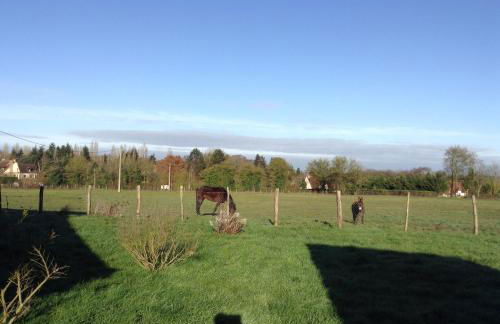 La Huberdière - Foto 43