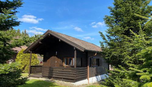 Ferienhaus-Blockhütte im Fichtelgebirge - Nagler See 2 km - Foto 2, Garden, Garden view