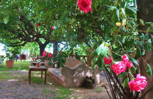 Masia Sagués - Foto 29