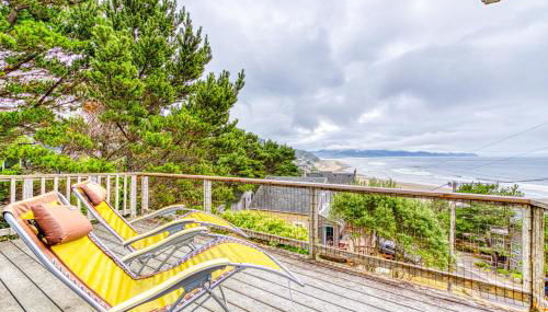 Sanderling - Photo 1