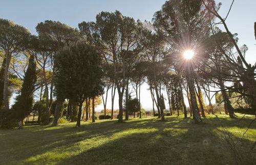 Villa Tommasini La torre - Foto 23