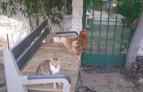 Το Μικρό Σπίτι στη Φάρμα! - Photo 17