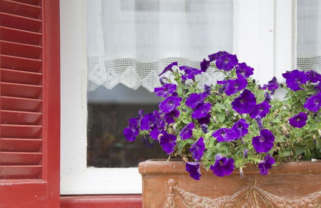 Flower Pot Complex - Foto 45