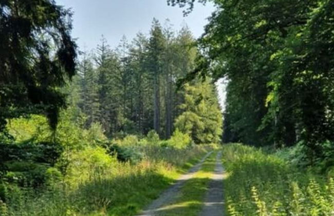 Holiday Home Osteland - Foto 20