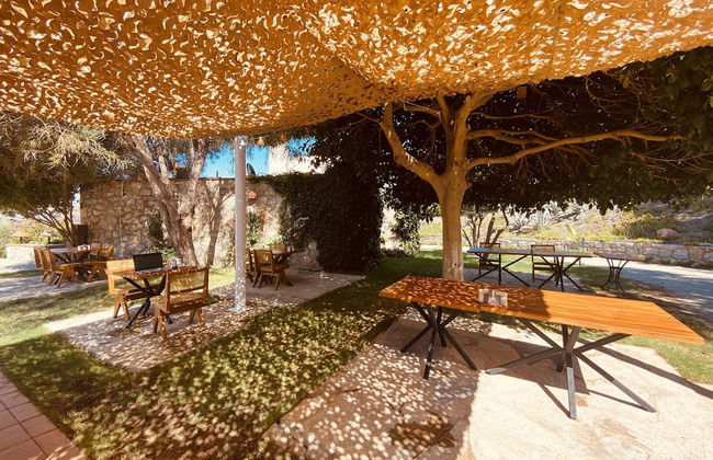 Odette Bodrum - Foto 49