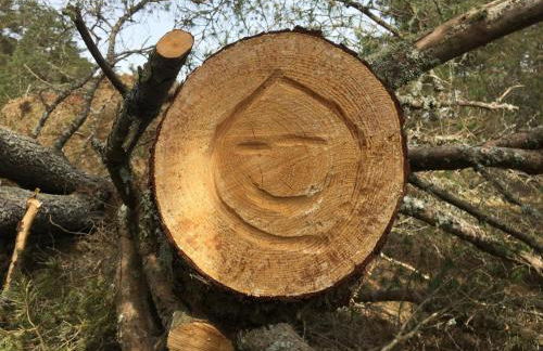 Our Log House in the woods - Photo 33