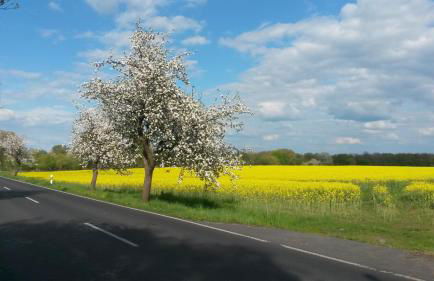 Ferienwohnung Kühl - Foto 18
