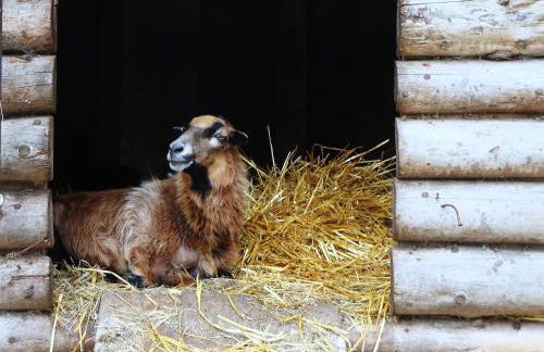 Gutspark Seeblick - Foto 26