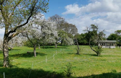 Gutshaus Thorstorf FeWo Travemünde - Foto 6