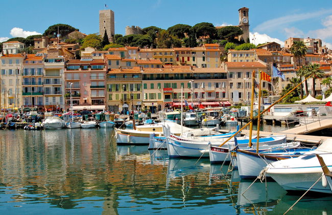 Les Pins D'Alep - Foto 18