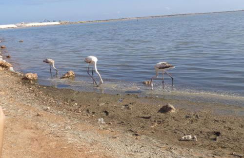 Casa Pinto - Foto 31